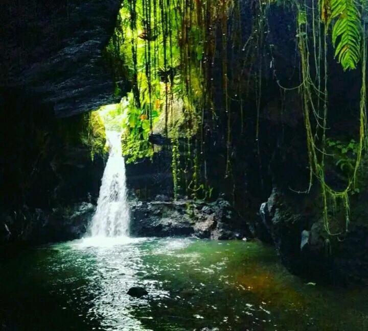 Asan Rinjani Homestay Tetebatu Bagian luar foto