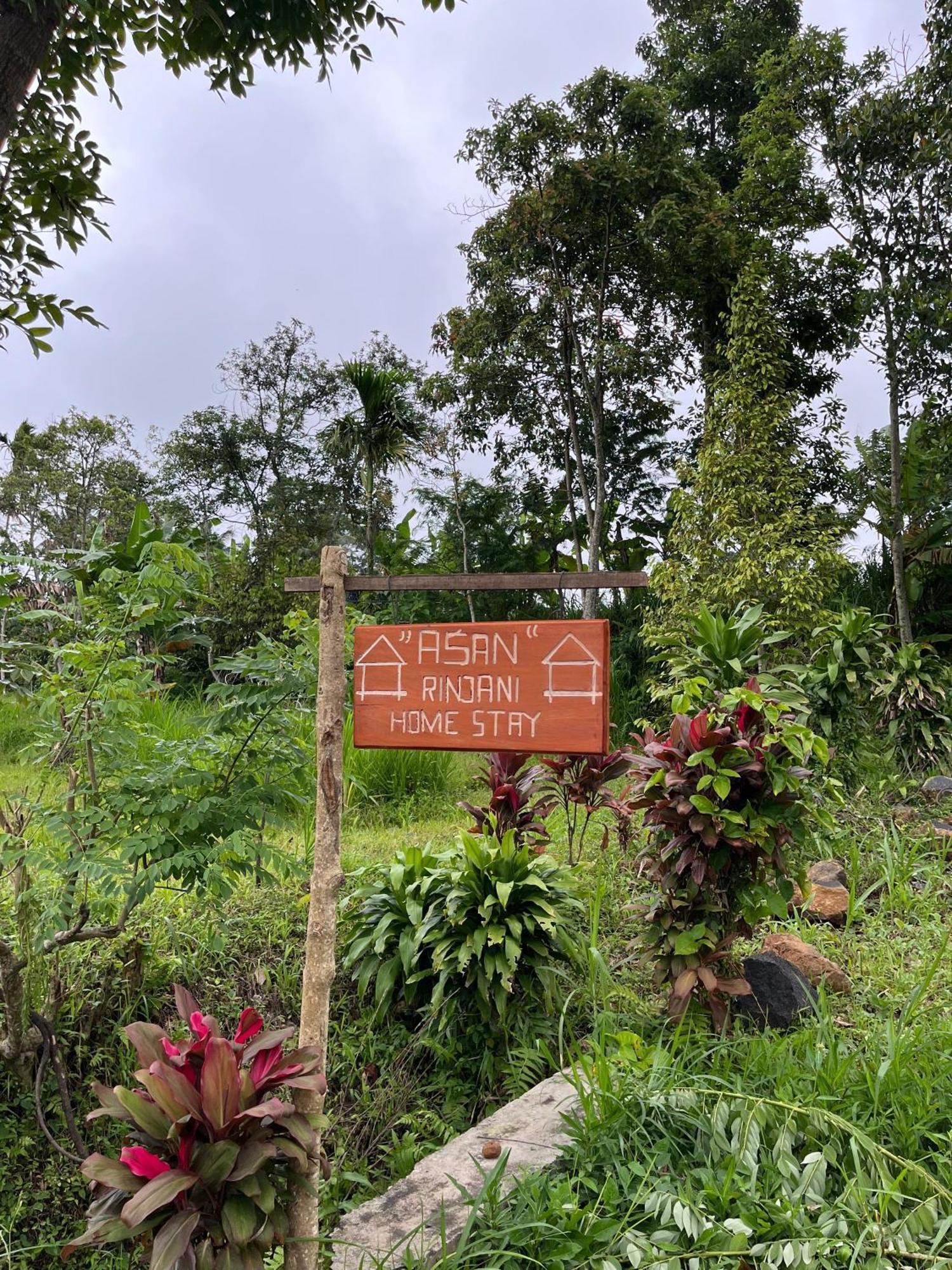 Asan Rinjani Homestay Tetebatu Bagian luar foto
