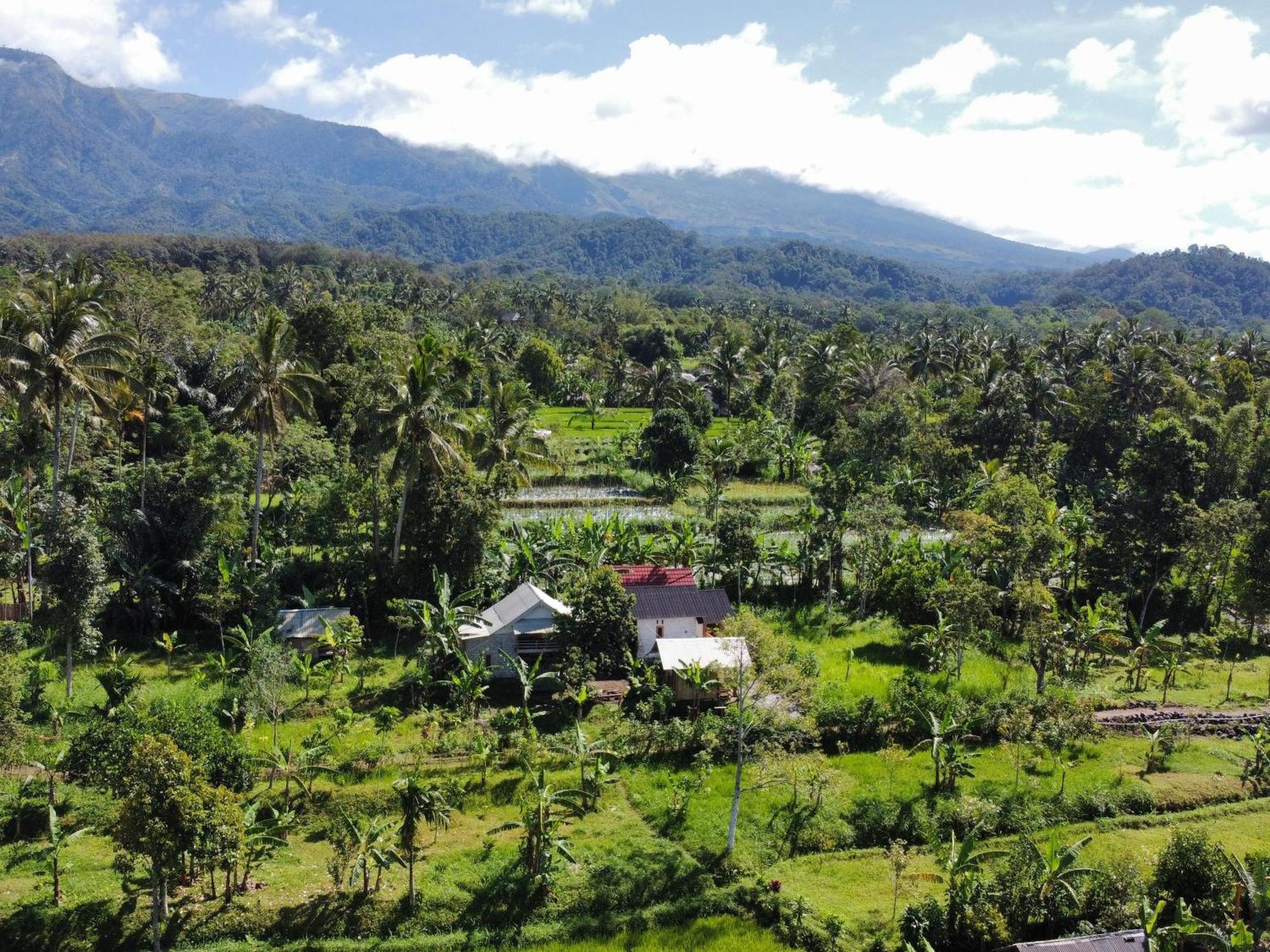 Asan Rinjani Homestay Tetebatu Ruang foto